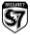 Secure 7 logo